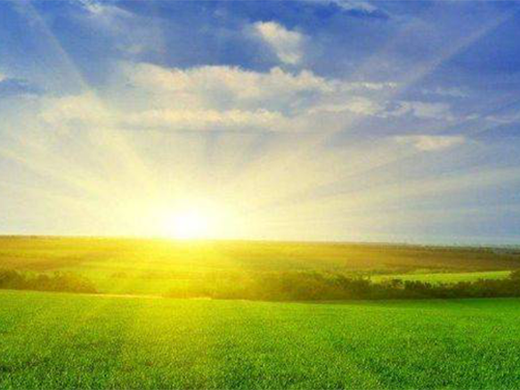 2020H1，錦州陽光戮力同心、運營達滿產(chǎn)